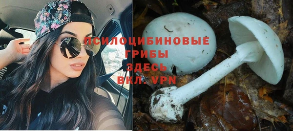 MESCALINE Балабаново